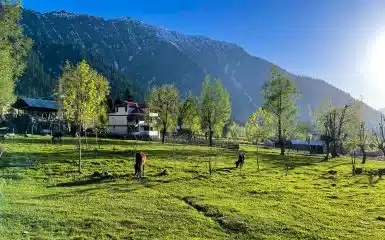 Premium Estate Property For Sale in Ooty